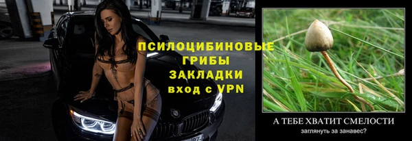 героин Алексин