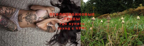 героин Алексин