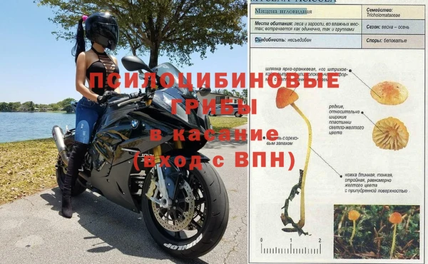 героин Алзамай