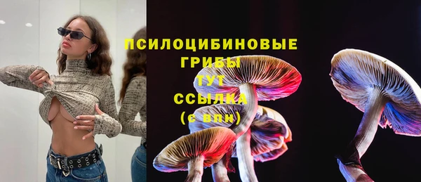 героин Алексин